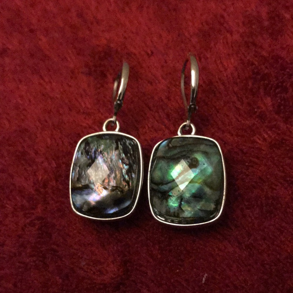 Abalone earrings